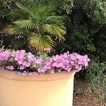 Cavo Paradiso * Asprovalta