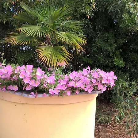 Cavo Paradiso * אספרובלטה