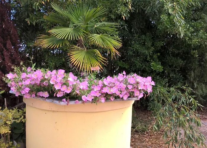 Cavo Paradiso * Asprovalta